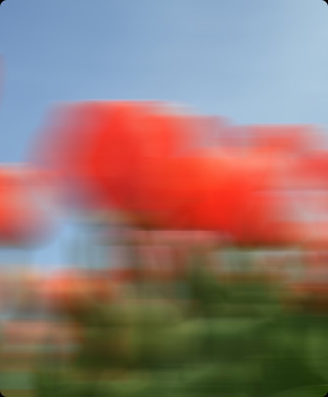 Project image 5